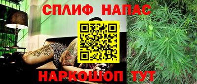 a pvp Гусь-Хрустальный