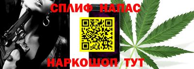 гидра Гусиноозёрск