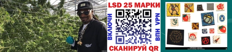 где продают наркотики  Лосино-Петровский  Марки 25I-NBOMe 1500мкг 
