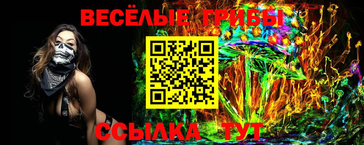 Галлюциногенные грибы прущие грибы  Вход с VPN  Лосино-Петровский 