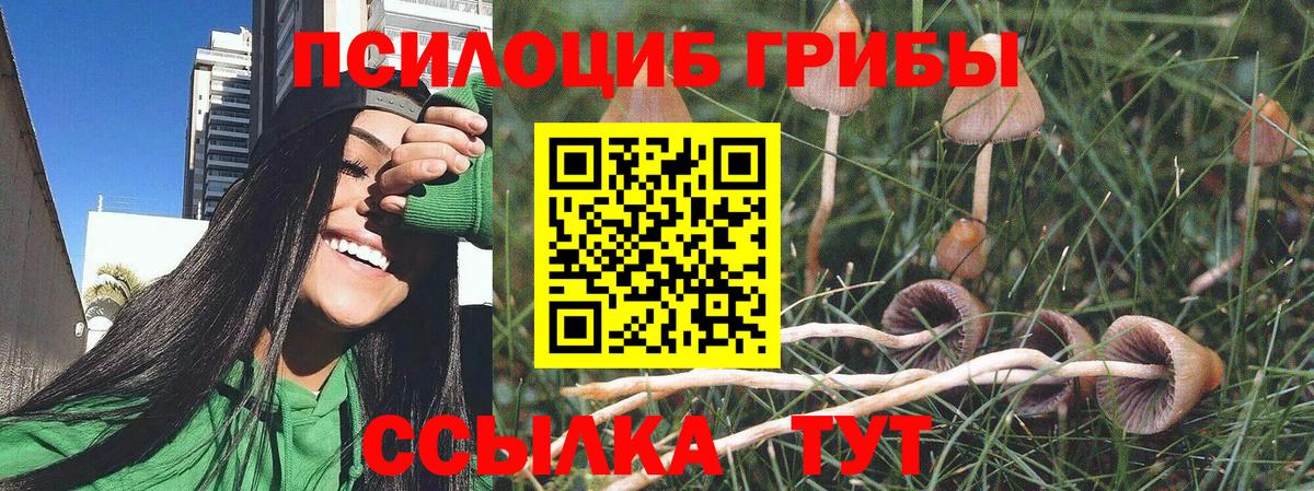 ГАШИШ Лосино-Петровский