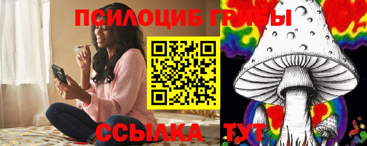 Псилоцибиновые грибы мицелий Лосино-Петровский